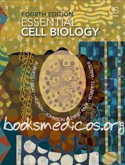 Essential Cell Biology Alberts 4th Edition Pdf Booksmedicos