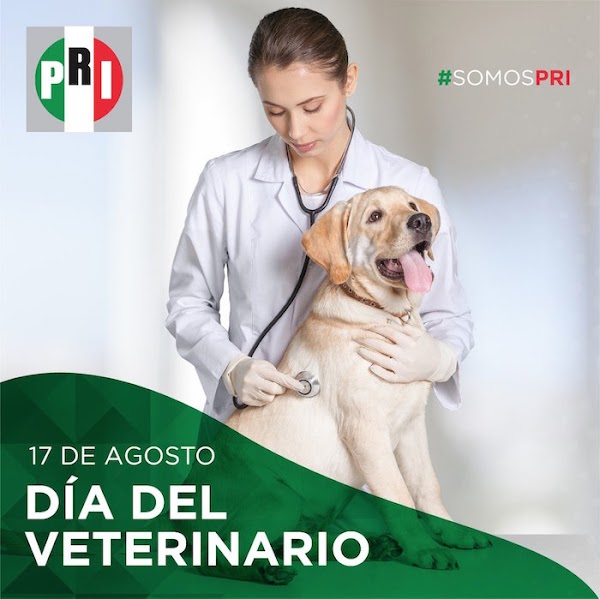 "¿Escucha con la nuca?": usuarios de redes se burlan de la felicitación del PRI a los veterinarios "¿Escucha con la nuca?": usuarios de redes se burlan de la felicitación del PRI a los veterinarios