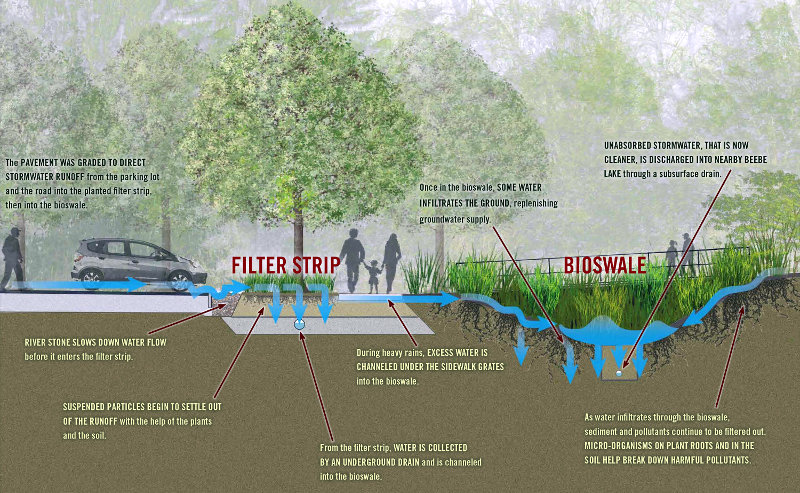 Water management, Stormwater management, Rain garden