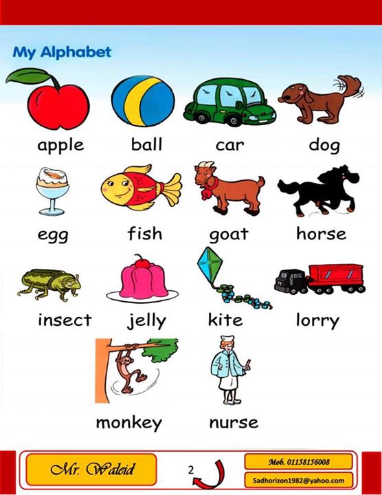 ØµÙØ±Ø© ذات ØµÙØ©