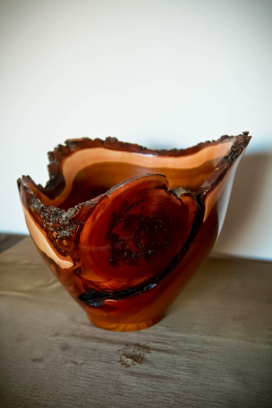 Windfall Woods by Joe Deru Portfolio