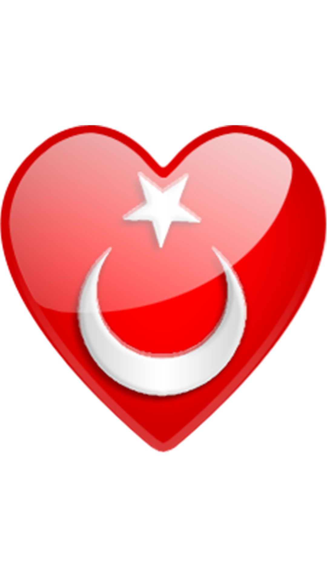 Kalpli turk bayragi 7