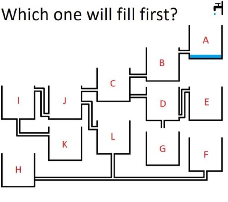 Visual Picture Puzzle for Teens with Answer-Shake The Brain