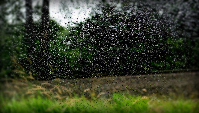 Rain drops rain drops on a window