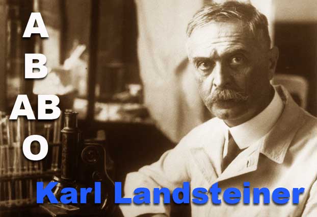 Biography of Karl Landsteiner inventor blood type