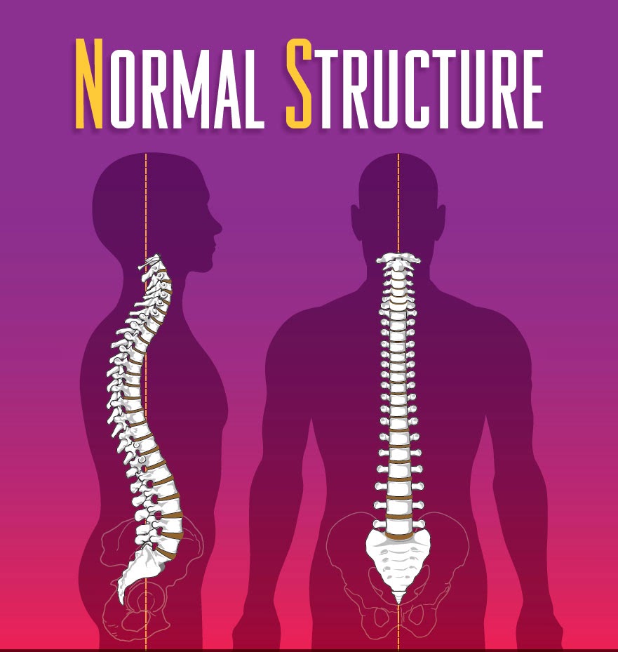 PLATINUM CHIROPRACTIC
