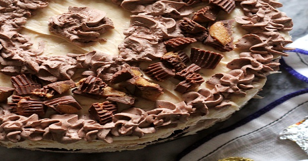 Chocolate And Peanut Butter Oreo Icebox Cake Recipe Chocolate And Peanut Butter Oreo Icebox Cake Recipe