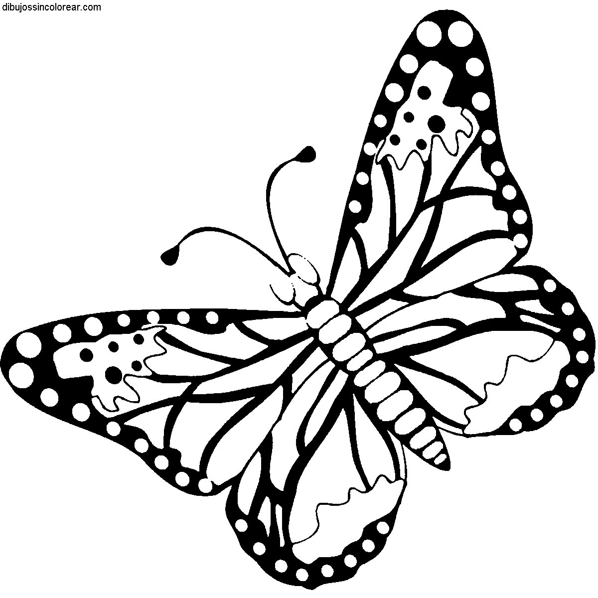 Dibujos Sin Colorear Dibujos De Mariposas Para Colorear Dibujos Sin Colorear Dibujos De Mariposas Para Colorear