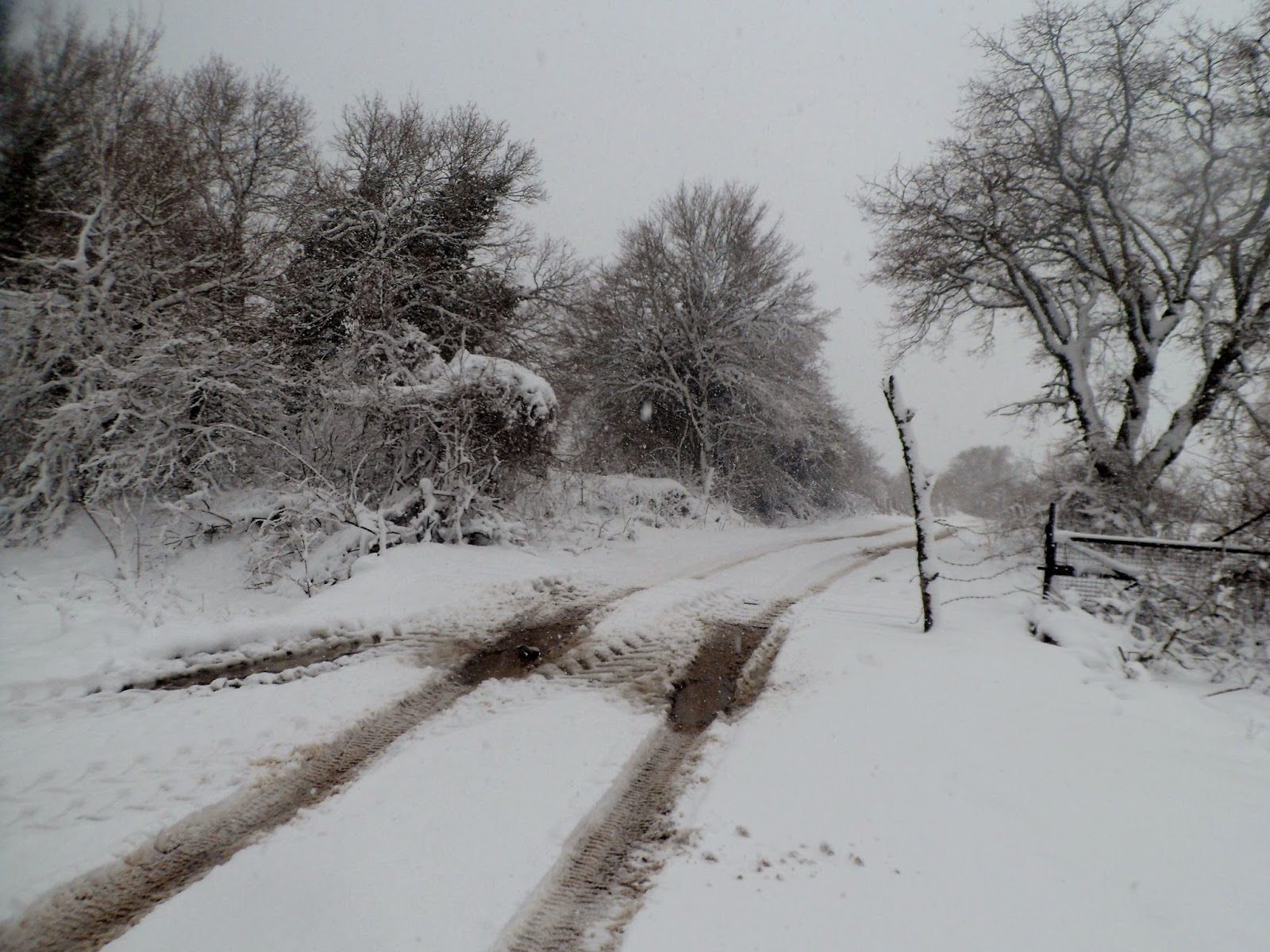 RUTAS DE ANDAR POR CASA: marzo 2015