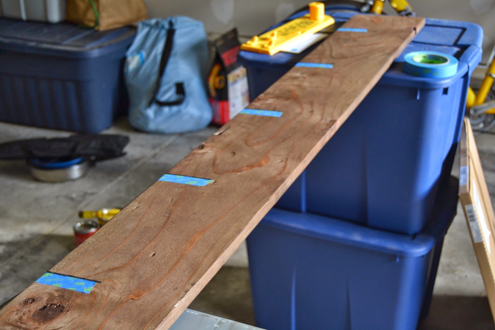 From Foothills to Fog: DIY Growth Ruler