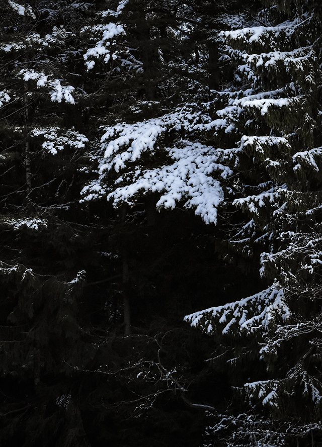 kuusimetsä joulu,pikkujoulu,arthurs,lomatalo,mökki,cottage,finnish cottage,finland,suomi,lomamökki,kuusi,arkitunnelmia,sisustusblogi,sisustus,stailaus,porkkalanniemi,kirkkonummi,lomarengas,talvi,suomen talvi