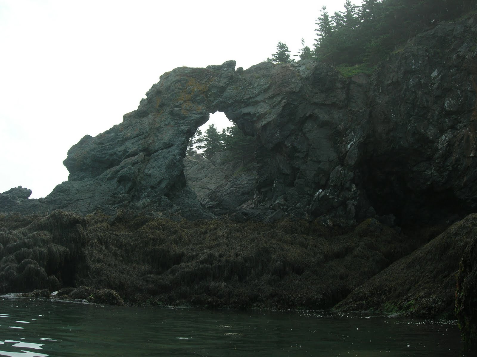 Whale Camp Sea Kayaking to Whale Cove