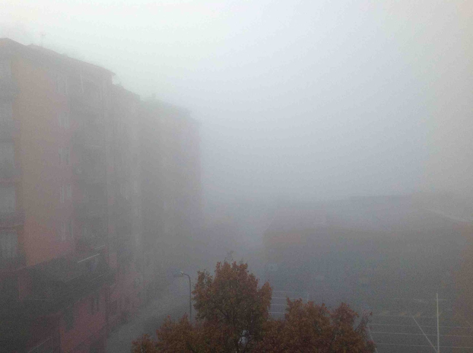 Dalla Nebbia Fitta Al Sole Pallido Le Previsioni Meteo Della Settimana Per Alessandria