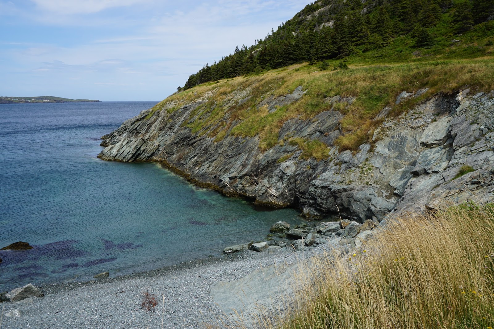 Four Boys and a NL Girl A Summers Day in Cupids