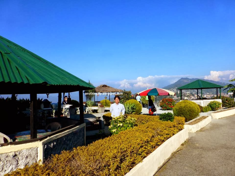 anythinglily Kalimpong Travel Part 4 The Exotic Cactus Collection Of