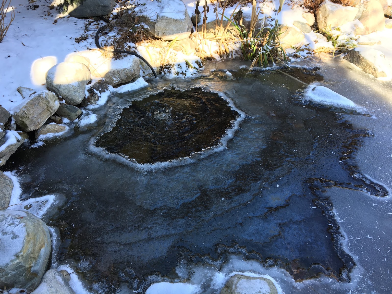 The Best Way to Oxygenate Your Pond