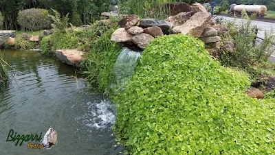 Pedra moledo para execução de paisagismo na cascata de pedra no lago.