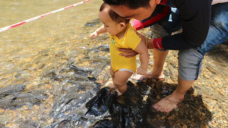 Fish spa tagal moroli luanti