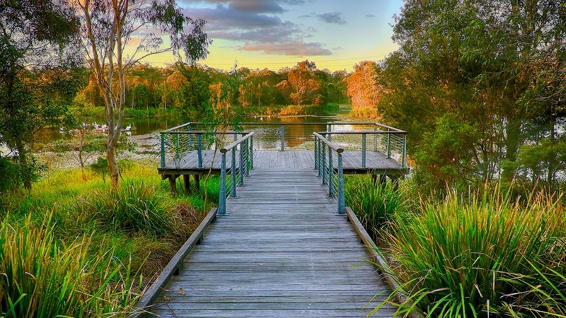 Dog Friendly Walks Around Brisbane Dog Friendly Walks Around Brisbane
