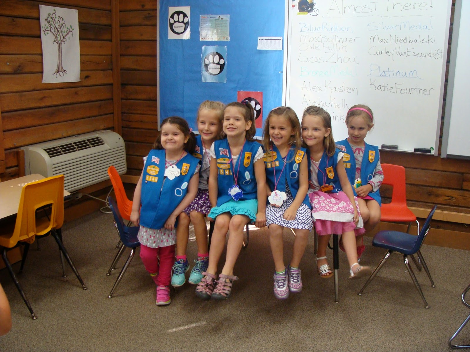 Daisy Troop 1349 November 2014