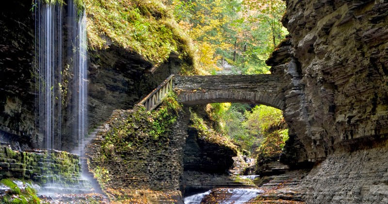 Fletcher's Castoria: reddit Gallery XXXIII Fletcher's Castoria: reddit Gallery XXXIII