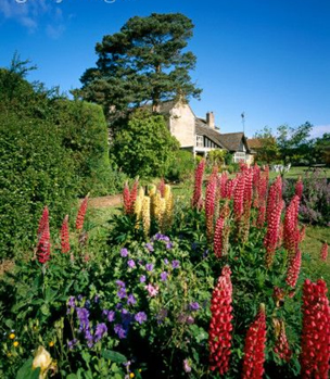 Primero C El Zargal: abril 2011