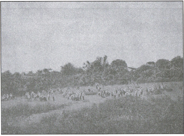 The Hacienda de Calamba