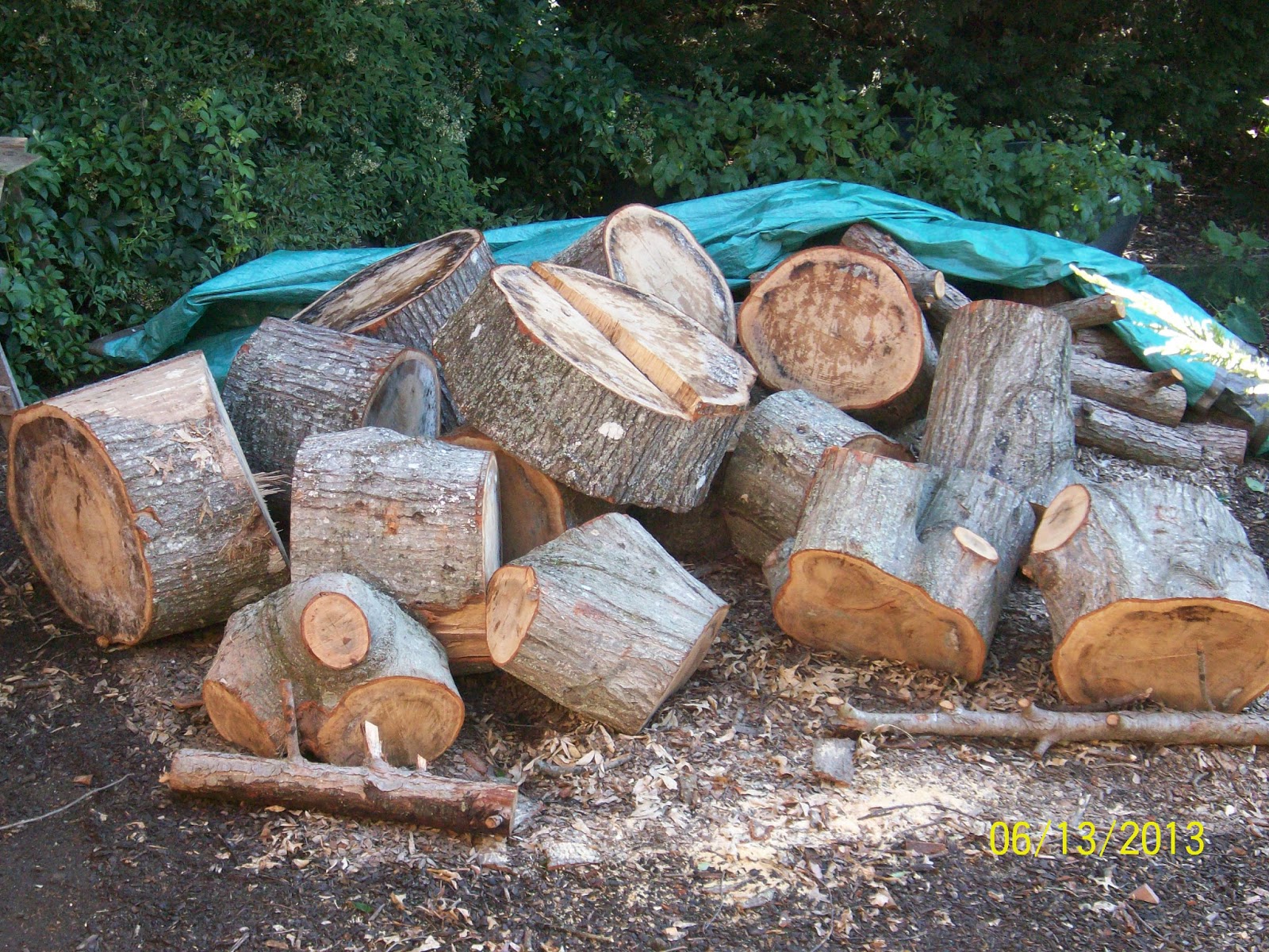 Sustainable Living