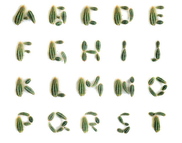 cactus alphabet