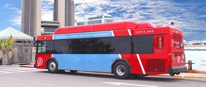 Viewpoints - Pathways to Accessible Transportation: Ask the Expert Viewpoints - Pathways to Accessible Transportation: Ask the Expert