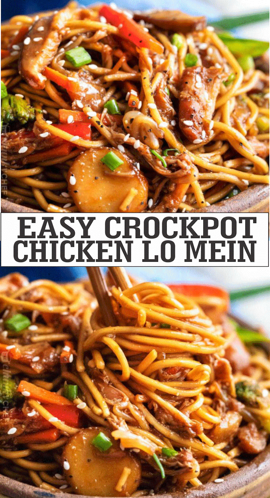 EASY CROCKPOT CHICKEN LO MEIN – Home Inspiration and DIY Crafts Ideas