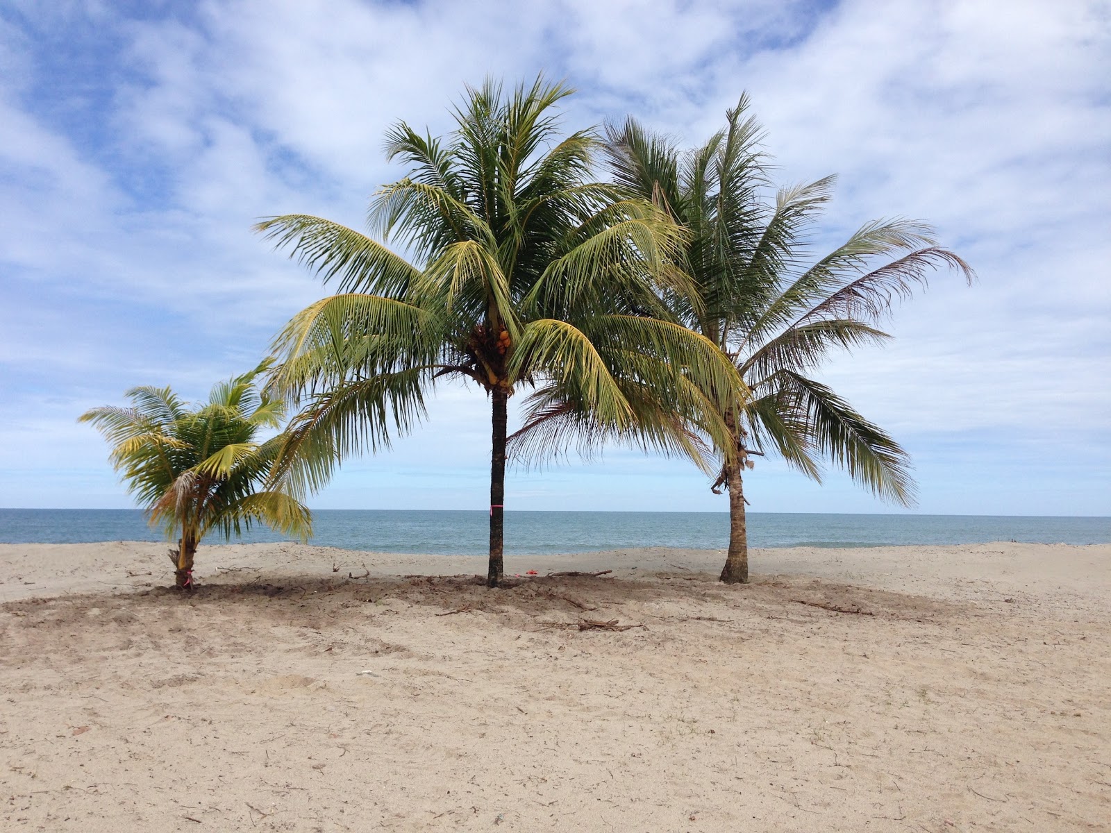 Honduras real estate beach lot sales La Ceiba Honduras oceanfront land