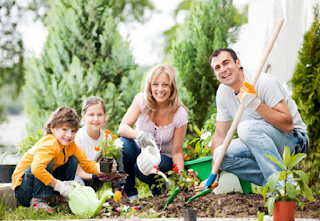 Berkebun dirumah bermanfaat bagi kesehatan Berkebun dirumah bermanfaat bagi kesehatan