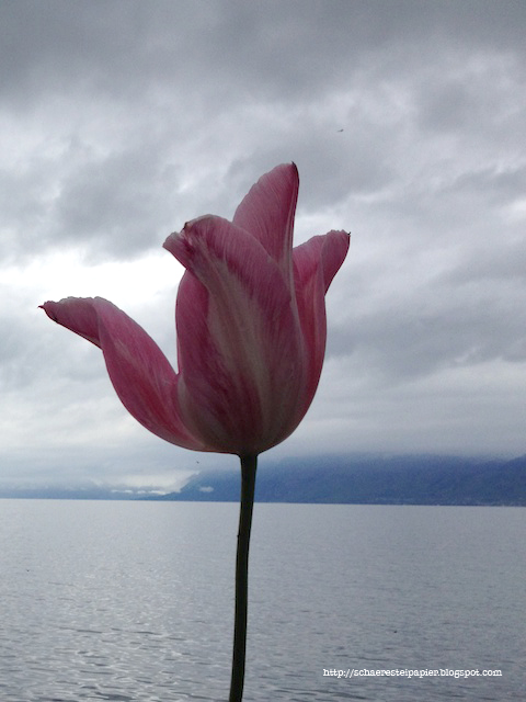 Geburtstagsgeschenke Eu Die Lesedecke Im Test Erdbeerchens