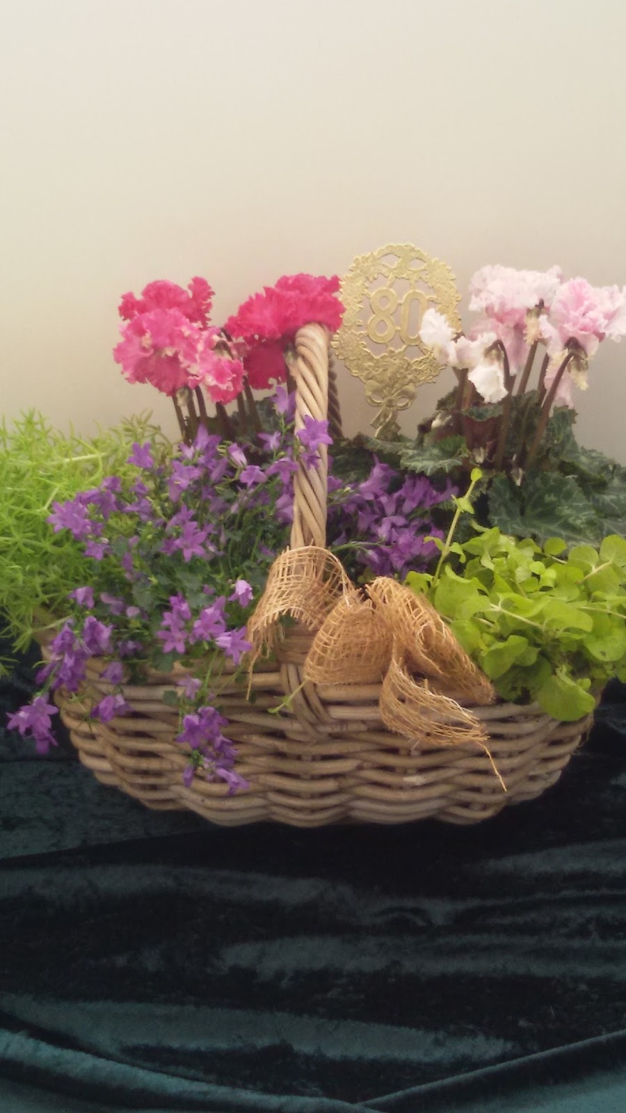 Oma 80 Geburtstag Gedicht Lustig Aol Bildersuche Ergebnisse Zum