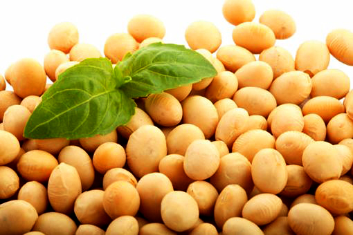 suplementos y productos de soya y otras plantas Isoflavonas de Soya con genisteína y daidzeína, son bioflavonoides