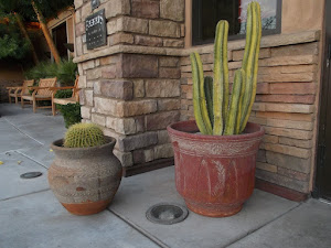 Arizona cacti. I believe the term is ubiquitous!