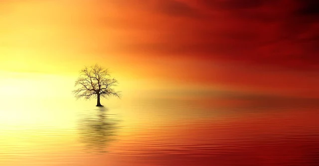 Sunrise Water Reflection Nature Screensaver