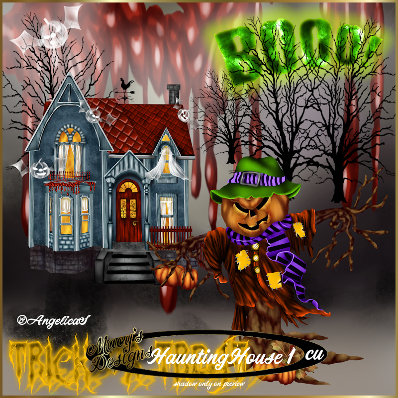 Macy's Designs oktober 2016