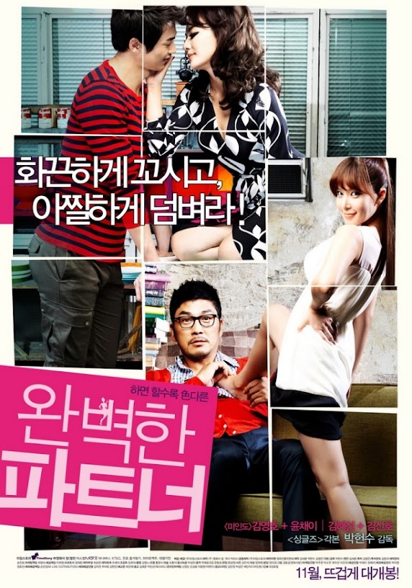 Người Tình Tuyệt Vời - Perfect Partner (2011)