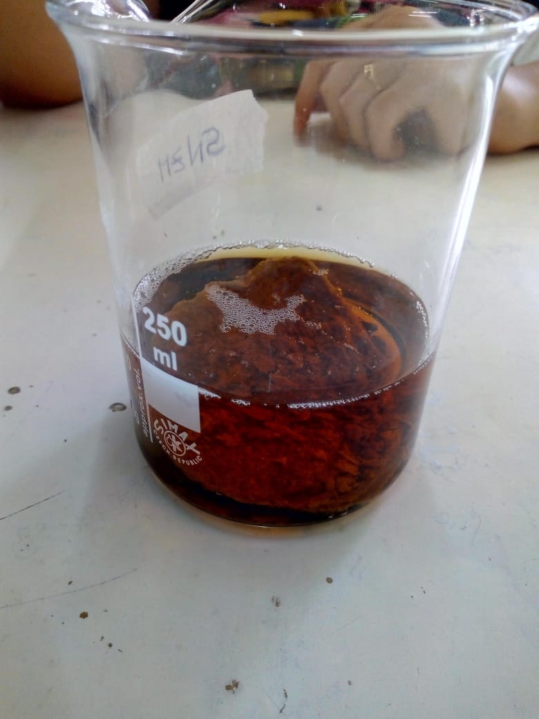 Edafósfera: Informe de laboratorio: Lluvia ácida