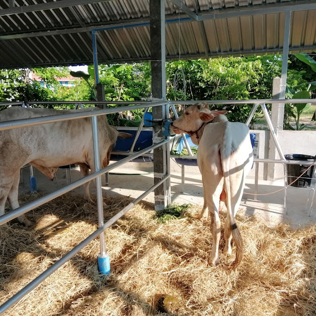 Heustadelumbau Leben Auf Dem Land
