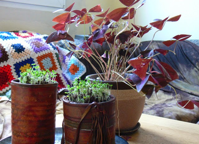 Reciclaje de latas para decoracion de exteriores