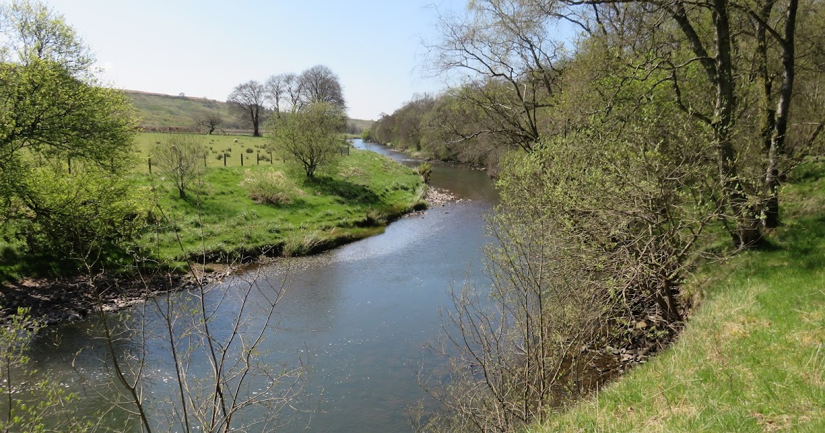 Desmondo's Ramblings River Ayr Way Muirkirk Sorn