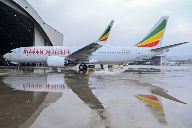 Lagi Dan Lagi, WNI Jadi Korban Jatuhnya Pesawat ETHIOPIAN Airlines Bernama Harina Hafitz 
