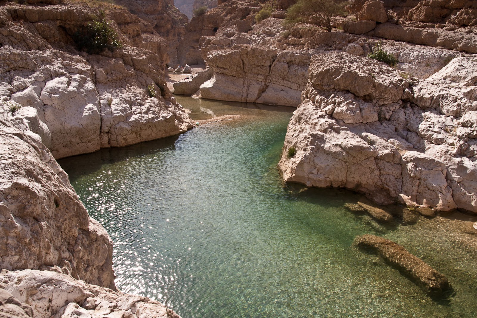 Travel Trip Journey : Wadi Shab Oman