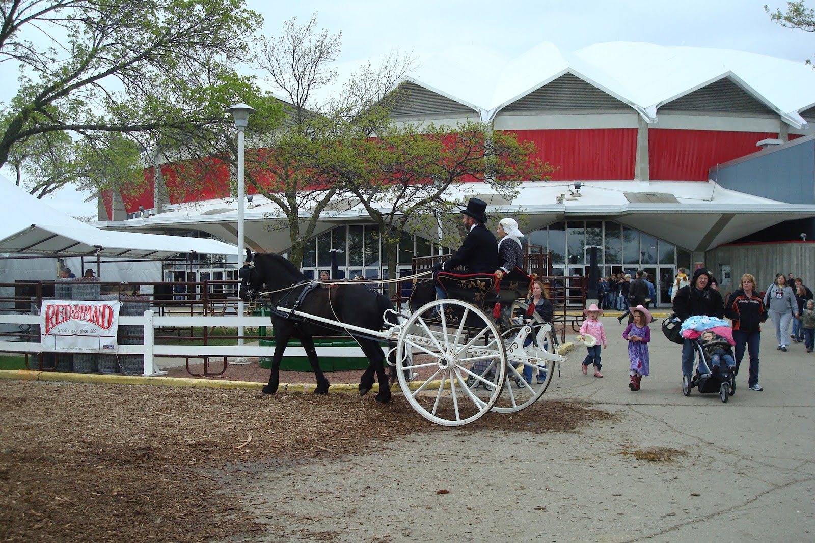 North Horse Midwest Horse Fair 2012 Hitting the Highlights