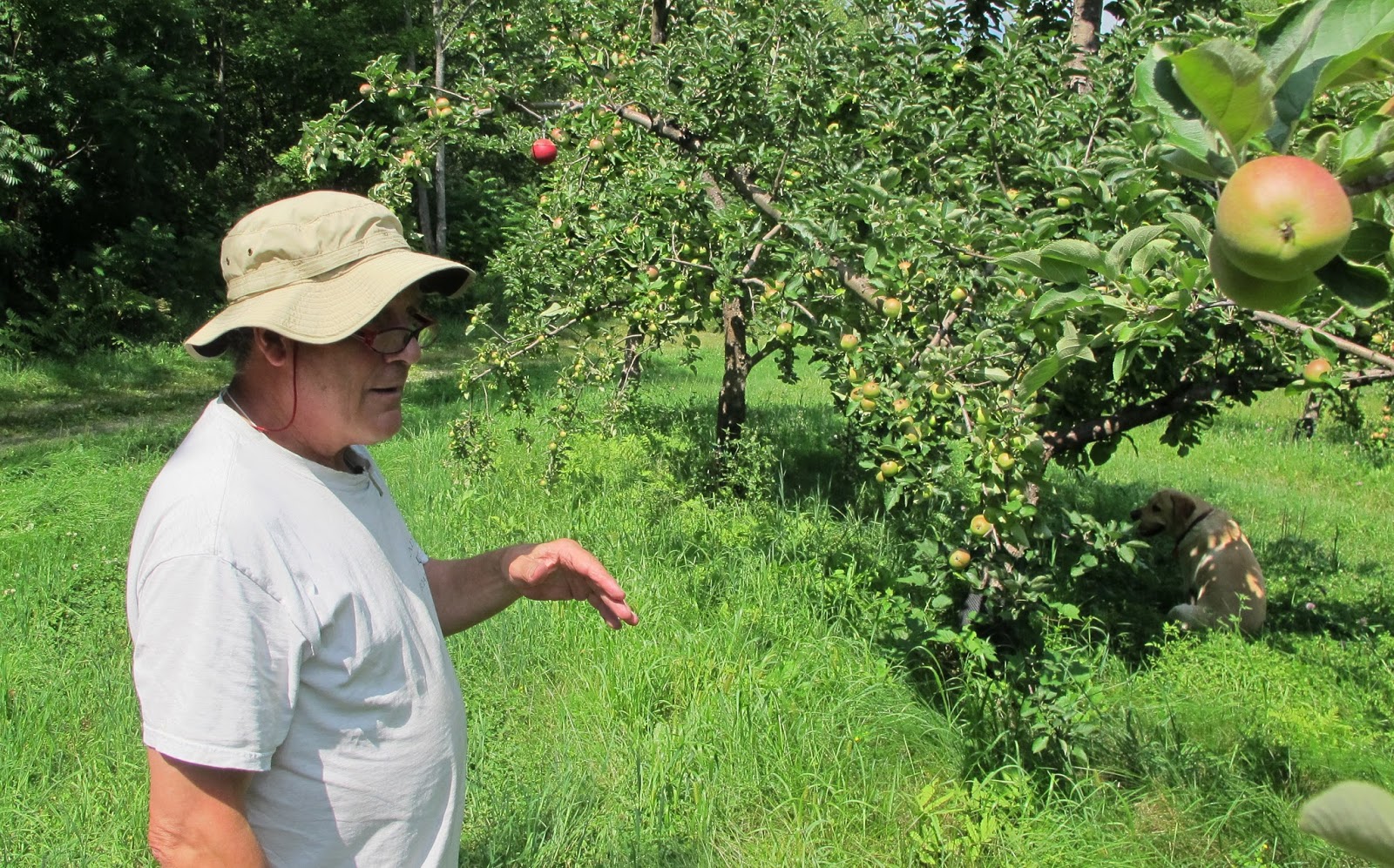 Along Came a Cider My Fantastic Vermont Cider Tour Day 1 (Starting