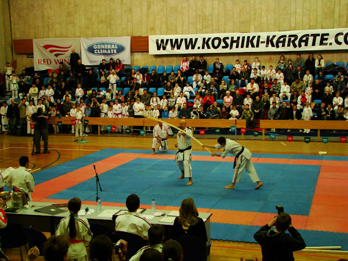 Чемпионат России по карате 2010