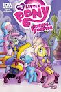 My Little Pony Friends Forever #10 Comic Cover Subscription Variant